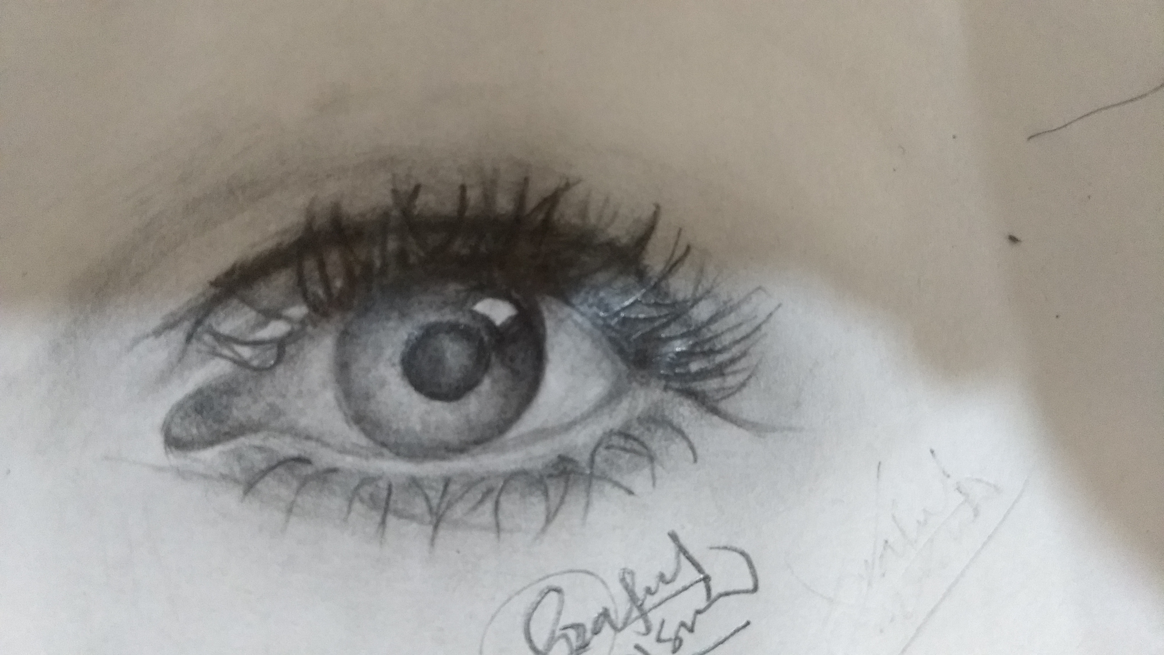 Sketch 2