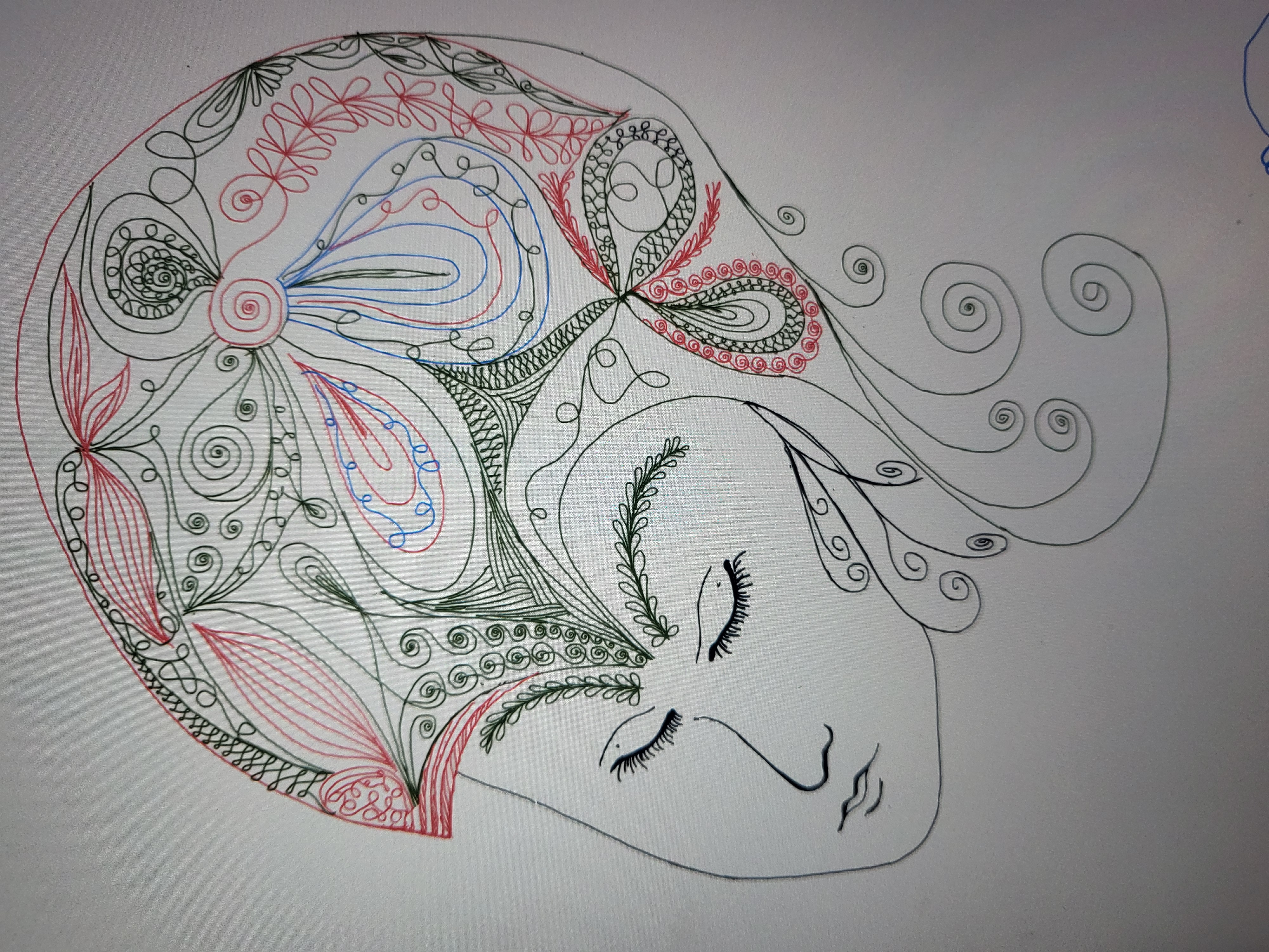 Sketch 5