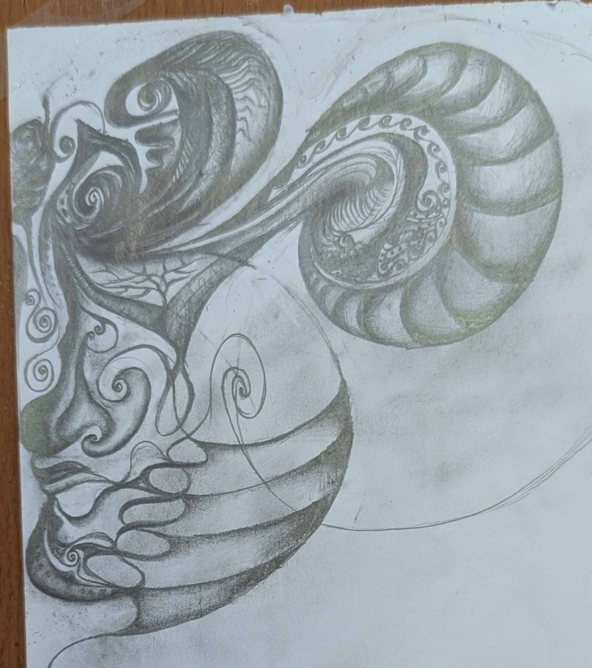 Sketch 6